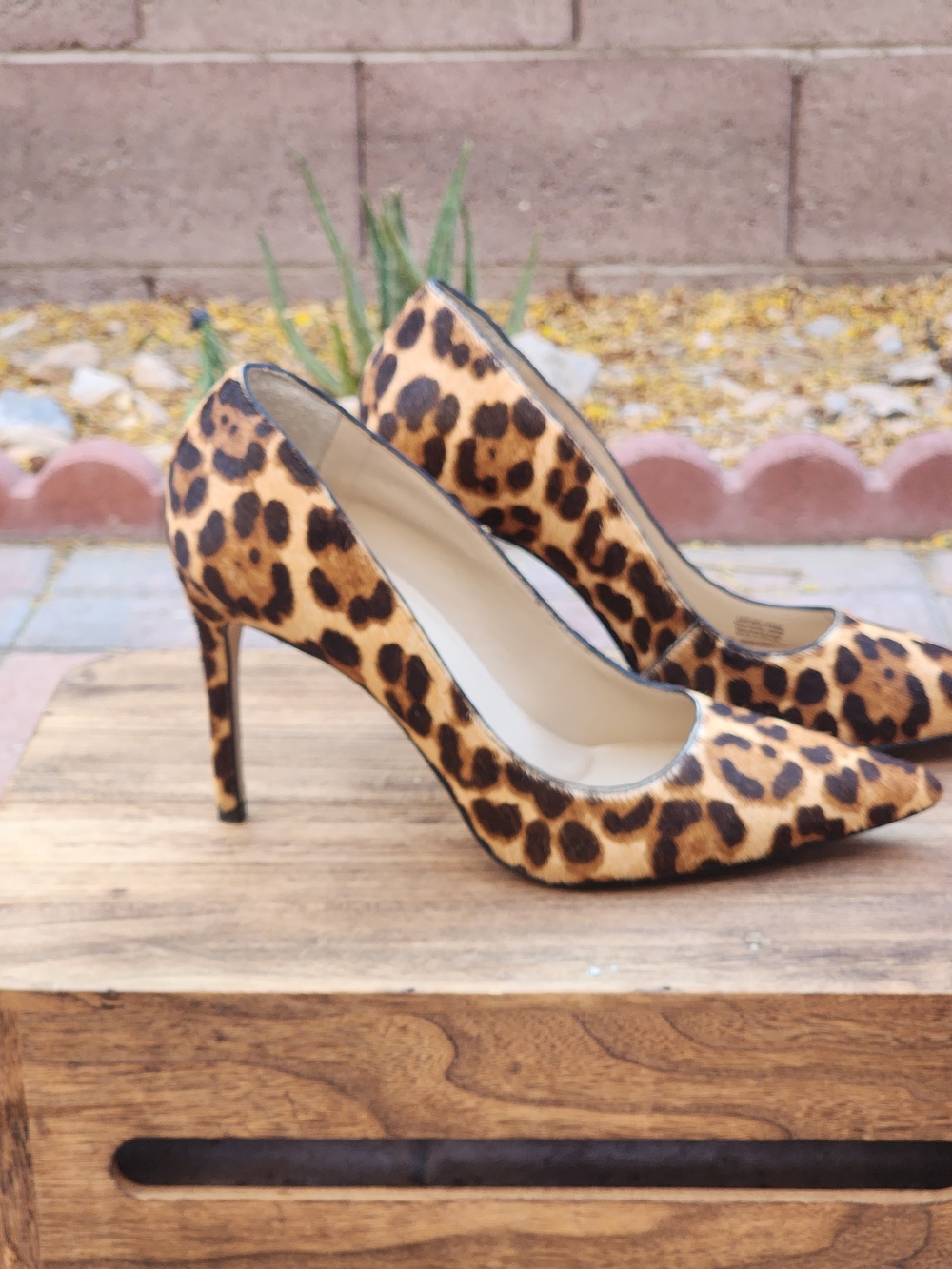 Gianni Bini Women's Leopard Print Women's Pointed-Toe Stiletto Pumps Size 10 - Picture 5 of 9